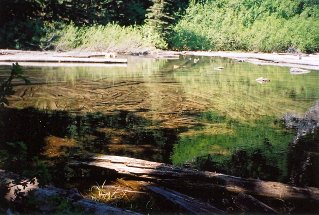 Trail often passes beside a creek, Eaton Lake 2001-07.